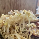 ラーメン専門 宮の森 - ヤサイ