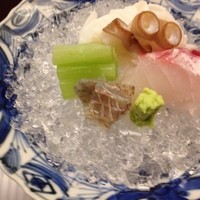 天神橋 青木 - 4.刺身　鯛・タコ