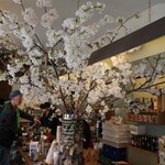 マイアマイア - 