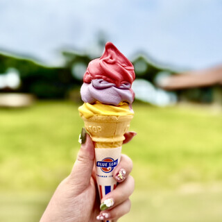 首里城ソフトの店_2