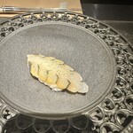 mikami limited50 - 鯛