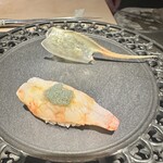 mikami limited50 - ぼたん海老