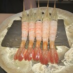 mikami limited50 - ぼたん海老