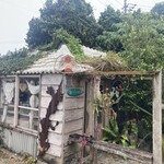 りんごカフェ - 