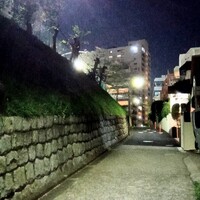 赤坂 津つ井 総本店 - 