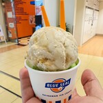 ブルーシール - 