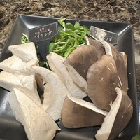 Shangri-La's secret ROPPONGI - 