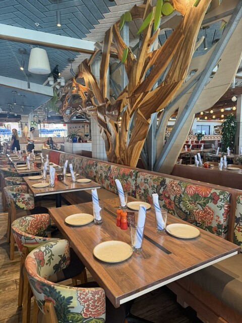 Monkeypod Kitchen Waikiki （モンキーポッド・キッチン） - ワイキキ