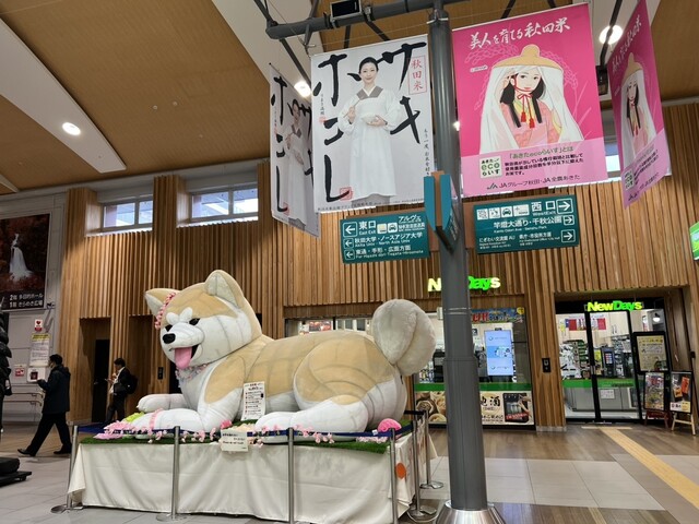 石川酒店 トピコ店 - 秋田（その他）の写真