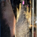 レストラン・カワサキ - 