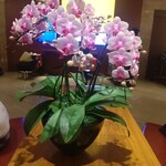 ロビーラウンジ 「マーブルラウンジ」 - 