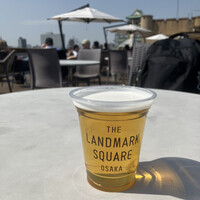 BLUE BIRDS ROOF TOP TERRACE - 