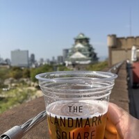 BLUE BIRDS ROOF TOP TERRACE - 