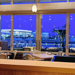 LAGOON TOOTH TOOTH - 