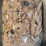 バックシュトゥーベ ツオップ - パンドカレンツ　¥500