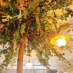 アルベロ - 内装