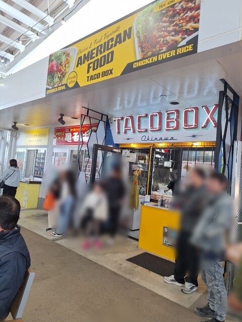 こけし時代 中ノ沢こけし TACO BOX号 津軽こけし館ご予約受付