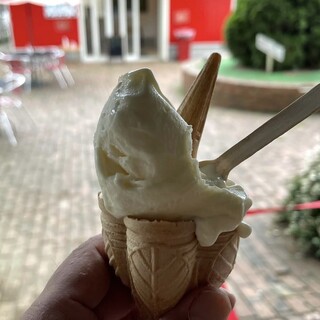 口コミ一覧 : icecream factory PiPi (ピピ【旧店名】東京 口コミ一覧 : icecream factory PiPi (ピピ【旧店名】東京