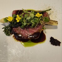 macua - 