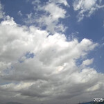 インデアンレストラン  ニューミラ - 