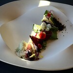 プレゼンテ スギ - 