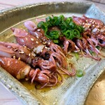 筑豊や - 蛍烏賊