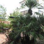 Urth Caffé - テラス