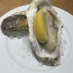 オイスタースタンド - 