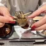 貝と炭火と日本酒 撓 - 