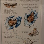 Mermaid Oyster Bar  - 