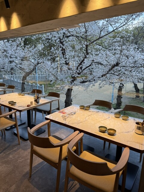 sukiyakisyabusyabu daibokujou Koudu ten - Tanimachi 9 Chome