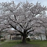 カフェ モーツァルト アトリエ - 