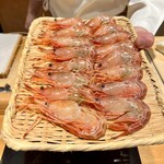 恵比寿 鮨 ふじまさ - 