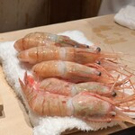 恵比寿 鮨 ふじまさ - 