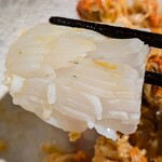 裕の輪 - コウイカ