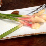 大衆酒場 斎藤 - 谷中生姜