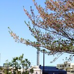 味楽 - 曙橋エリアなので、市ヶ谷 "防衛庁"も近い。