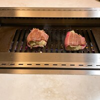 PONGA PREMIUM - 