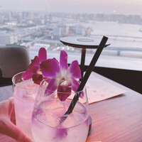 THE PENTHOUSE with weekend terrace - 