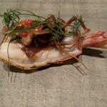 カンテサンス - 