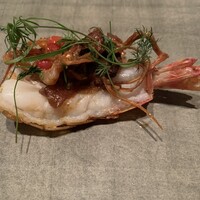 カンテサンス - 
