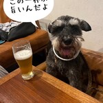 フロックス ローカル マーケット - 