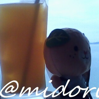 ブエナビスタ_0