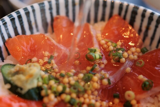 シーサイドレストラン・シルバー（SEASIDE RESTAURANT SILVER） - 小中野（食堂）の写真