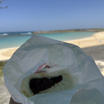 タンタン - あんまん