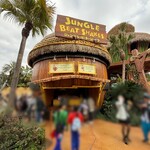 ジャングル・ビート・シェイク  - お店