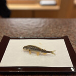 京都祇園 天ぷら八坂圓堂 - 