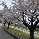 四季彩 ひととき - 