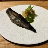HAGI - 