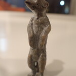 トーコーキッチン - ミーアキャット